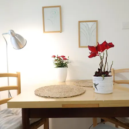 Mir Apartment